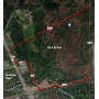 36 Acre Live Land Auction