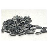 Lot 866  100pcs AI WEIWEI porcelain sunflower seeds