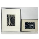 Lot 870  Two Framed Black and White Photo prints including a Yosemite Waterfall Ansel Adams and an Abstract S