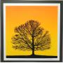 Discovery Art - September 30, 2026 at 7:00 PM