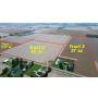 86.78+/- Acres-Real Estate Farmland Auction