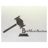 BIDALOT COIN AUCTION ONLINE MON. SEPT. 28TH, 2026 AT 7 PM EDT