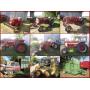 Thomas Piercy Estate - IH Tractors, Machinery & Parts