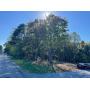 Greenhouse Rd Land Auction