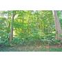 Thursday, November 12, 2026 - ON SITE - Unimproved Wooded Lot Public Real Estate Auction