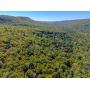 Public Real Estate Auction 59+/- Acres Centre County