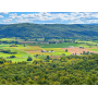 Public Real Estate Auction (4) Parcels 206+/- Acres Mifflin County