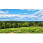 Public Real Estate Auction 37 Acres Perry Co