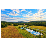 Public Real Estate Auction 164+/- Acres Perry Co - Multi Parcel Auction