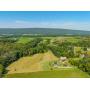 Public Real Estate Auction 38.69 Acres Snyder County