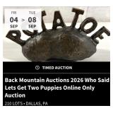 Back Mountain Auctions 2026 Who Said Lets Get Two Puppies Online Only Auction