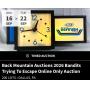 Back Mountain Auctions 2026 Bandit's Trying To Escape Online Only Auction