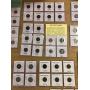 Weekly Wednesday night Auction