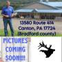 Weekly Wednesday night Auction