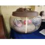 Large Live Auction Youngstown Ohio