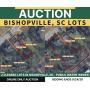 Bishopville, SC Buildable Lots