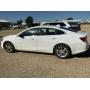 Sportsman Consignment Auction
