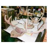 ANTLERS