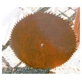 BUZZSAW BLADE