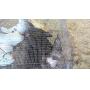 Small Animal, Hay & Consignment Auction