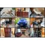 Harold & Mary Ann McEuen Estate - Large Collection of Wildlife Mounts, Collector Cars & More
