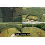 34.88  Acres of Hunting & Recreational Land Near Marshfield