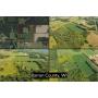 40 Acres with Tillable Ground, Pasture & Hunting Potential Near Hillsdale