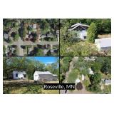 Original Homestead Roseville Home Bordering Harriett Alexander Central Park