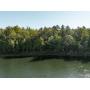 Buildable Lake Lots on Long Lake Near Iron River, WI