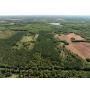 40 Acres of Wooded Hunting Land Offered in 2 Parcels Near Trego, WI