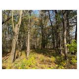 One of a Kind Home on 9.8 Acres with Exceptional Hunting Opportunities Near Melrose, WI