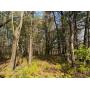 One of a Kind Home on 9.8 Acres with Exceptional Hunting Opportunities Near Melrose, WI