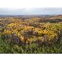 40.5 Acres of Prime Hunting Land Surrounded by State and County Land Near Emily, MN