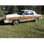 Estate Auction