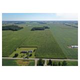 Land Auction!