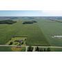 Land Auction!