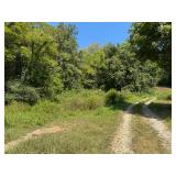 375 Watts Hollow