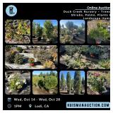 Duck Creek Nursery - Trees, Shrubs, Palms, Plants & Landscape Items