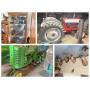 ESTATE AUCTION